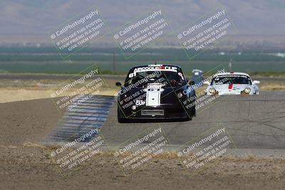 media/May-03-2024-PCA Central Coast (Fri) [[eaa7da0ee1]]/Red Group/Session 1 (Grapevine)/